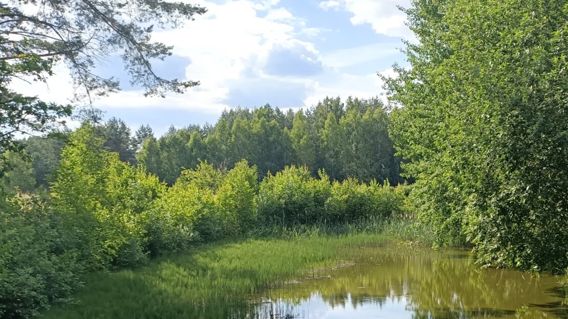 INFORMACJA O NAJBLIŻSZYCH POLOWANIACH