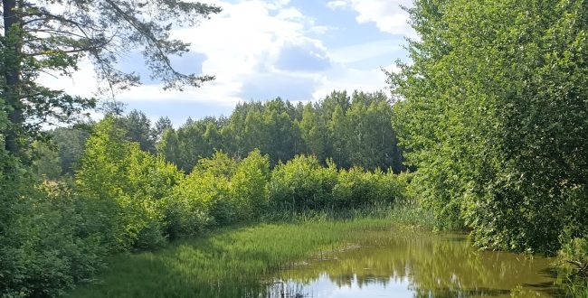 INFORMACJA O NAJBLIŻSZYCH POLOWANIACH