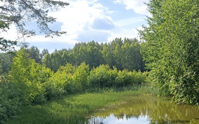 INFORMACJA O NAJBLIŻSZYCH POLOWANIACH